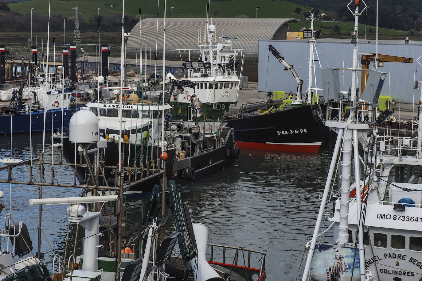 Fotos: Los puertos de Santoña y Laredo reciben el bocarte