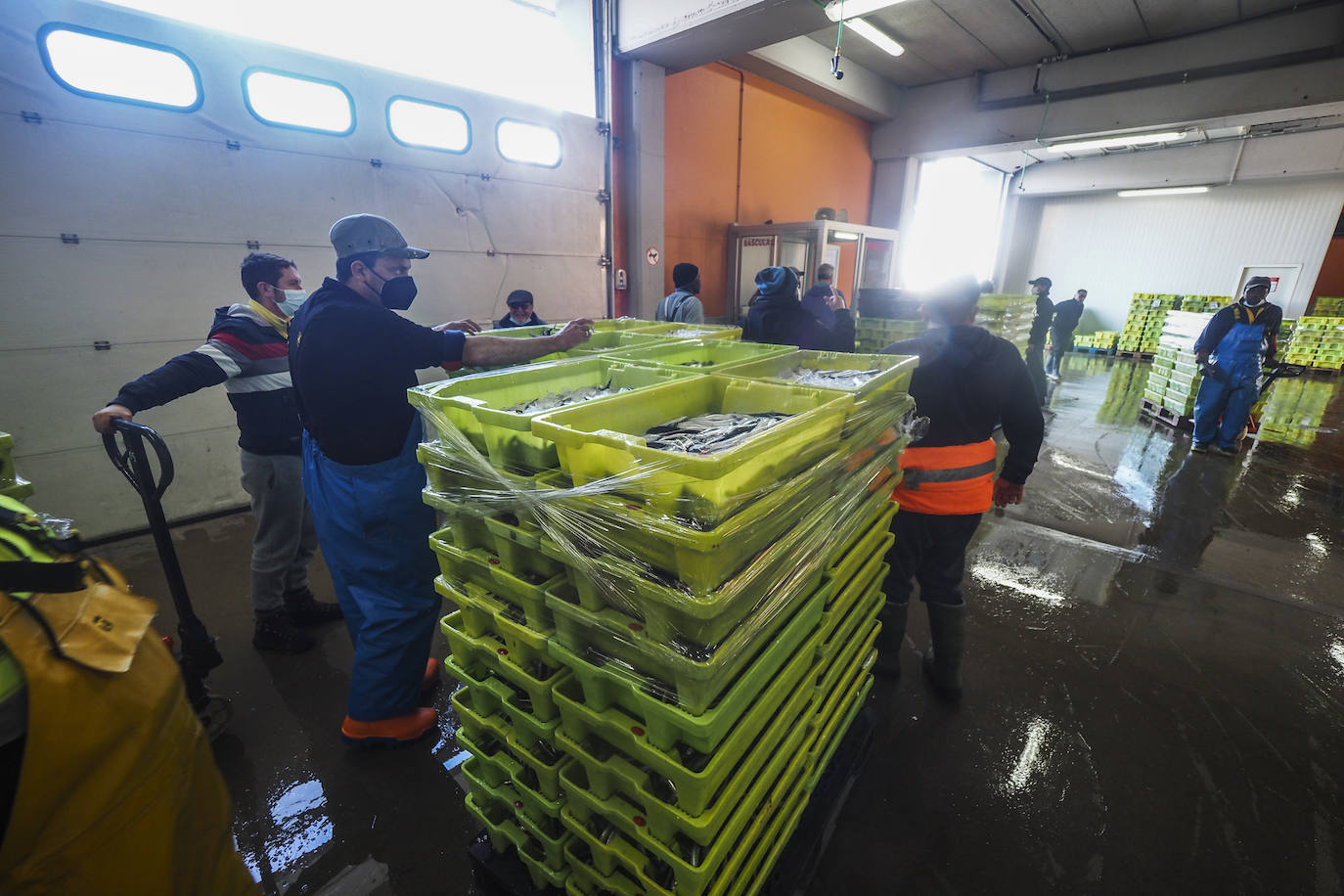 Fotos: Los puertos de Santoña y Laredo reciben el bocarte