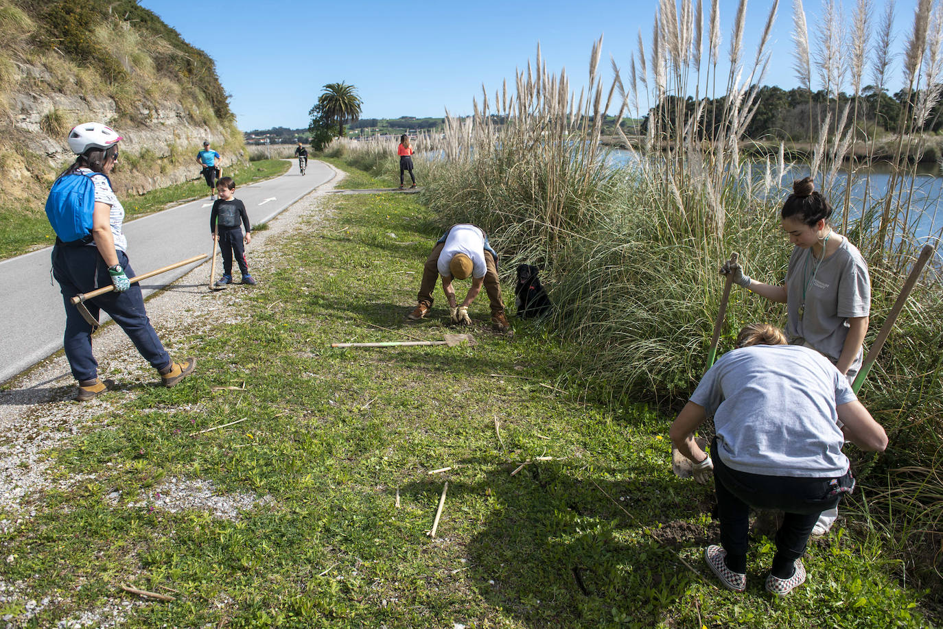 Fotos: Reforestación en común