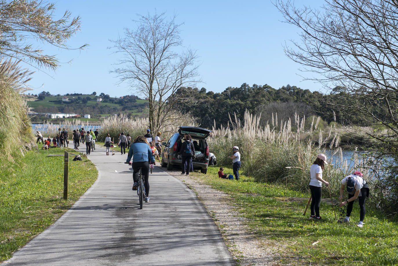 Fotos: Reforestación en común