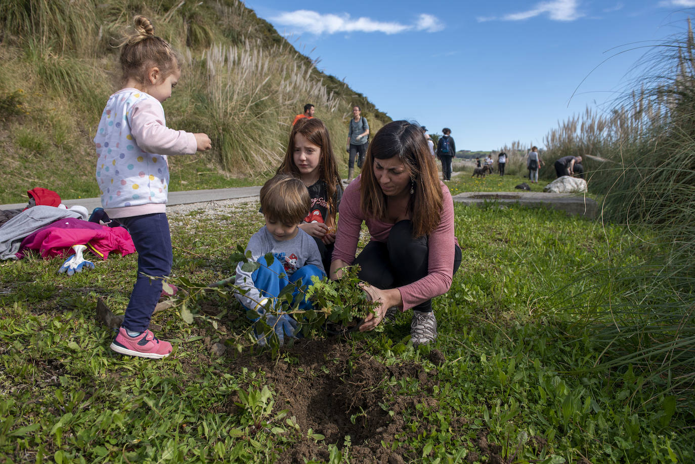 Fotos: Reforestación en común