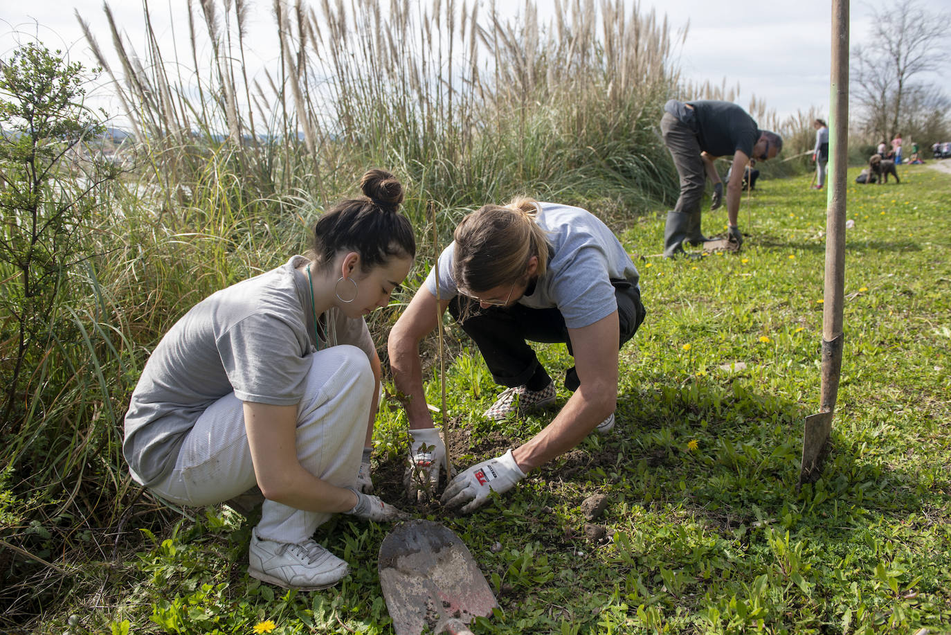 Fotos: Reforestación en común