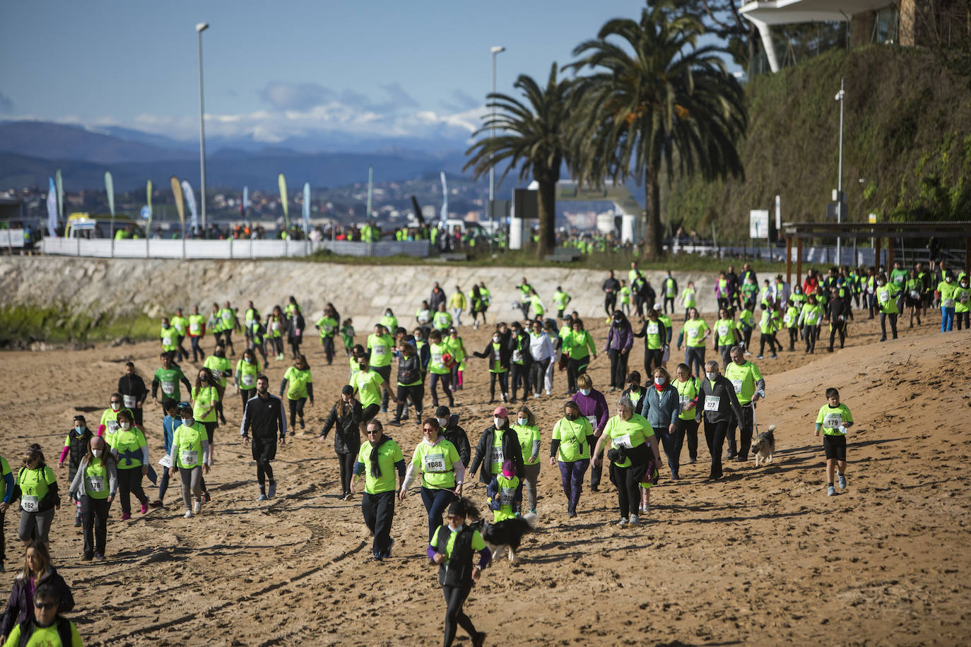 Santander ha celebrado este domingo el II Trail Solidario en apoyo a los enfermos de ELA, organizado por la asociación CanELA con la colaboración del Ayuntamiento. La prueba, concebida para todos públicos y cuya inscripción ha tenido un precio simbólico de 10 euros, ha arrancado a las 10.00 horas desde la playa de los Peligros y ha recorrido 6,5 kilómetros por la costa.