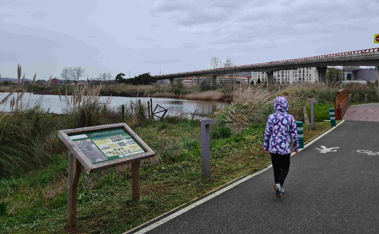 Una vecina camina por el paseo de la Marisma de Alday, cerca de una de las zonas de actuación contempladas en el plan, este lunes, al límite entre Camargo y Santander.