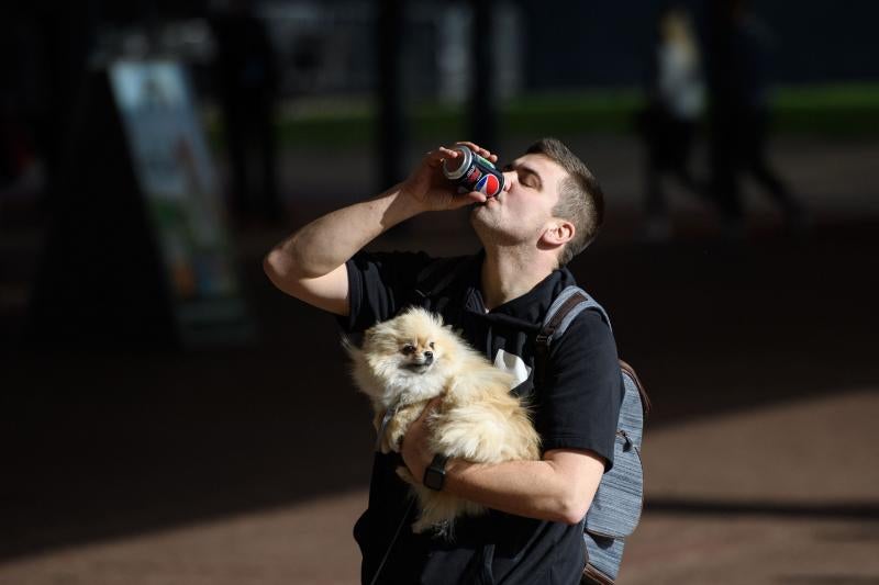 El Cruft Dog Show de Birmingham, la exposición canina más grande del mundo, se ha vuelto a celebrar este 2022 tras la pandemia.