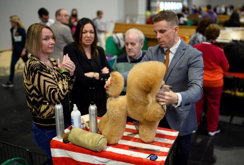 El Cruft Dog Show de Birmingham, la exposición canina más grande del mundo, se ha vuelto a celebrar este 2022 tras la pandemia.