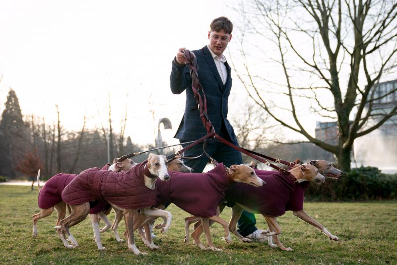 El Cruft Dog Show de Birmingham, la exposición canina más grande del mundo, se ha vuelto a celebrar este 2022 tras la pandemia.