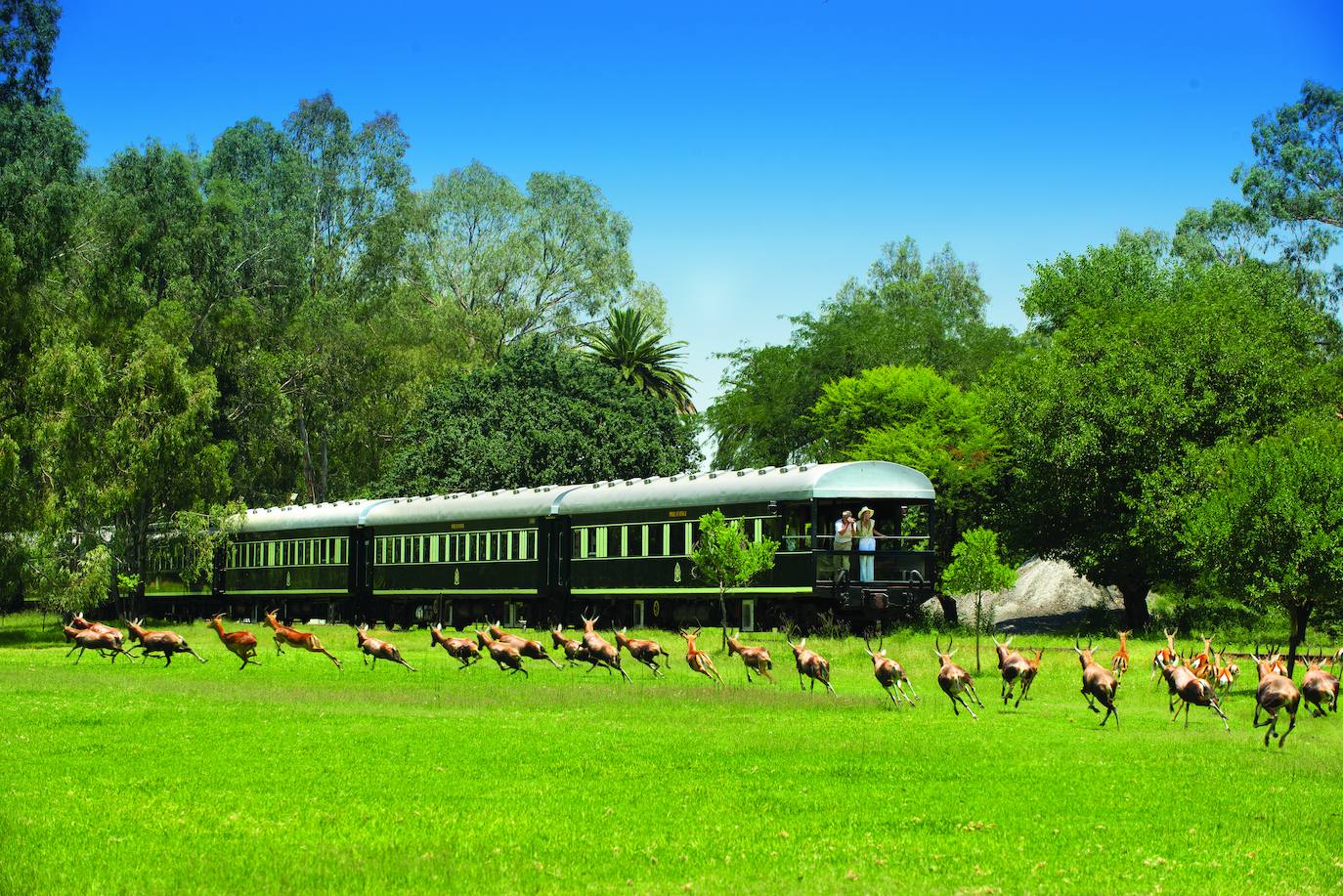 El Rovos Rail de África. Recorren el continente con un vagón observatorio al final del convoy para disfrutar del paisaje. Sus viajes pueden durar de 48 horas a 15 días. El más atractivo te lleva a conocer el sureste del continente en un épico viaje por Sudáfrica, Botsuana, Zimbabue, Zambia y Tanzania. El punto de partida es Ciudad del Cabo (Sudáfrica) y concluye, 5.800 kilómetros después, en Dar Es Salaam (Tanzania).