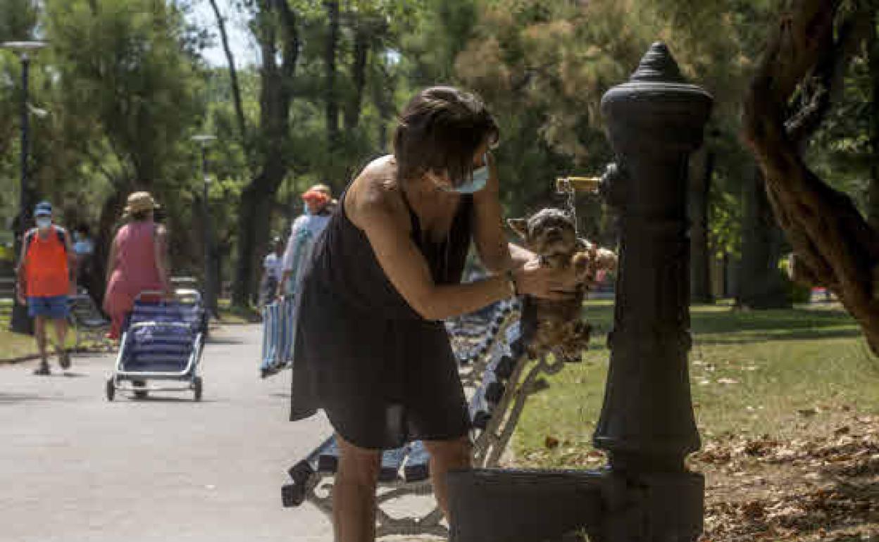 Aemet anuncia una primavera cálida con temperaturas «bastante por encima de lo normal»