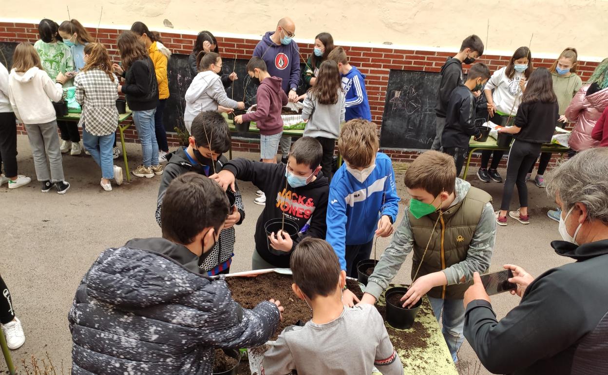 Los estudiante cuidarán los árboles en sus casas para devolverlos a la naturaleza dentro de un año 