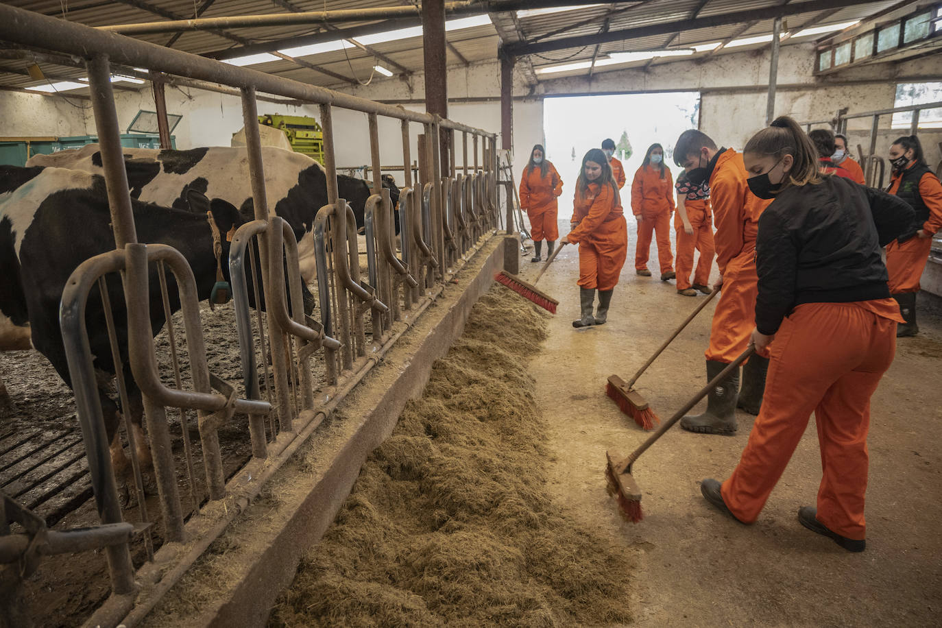 Fotos: El Centro Integrado de Formación Profesional de Medio Cudeyo cuenta con 80 alumnos en ciclos del sector agropecuario