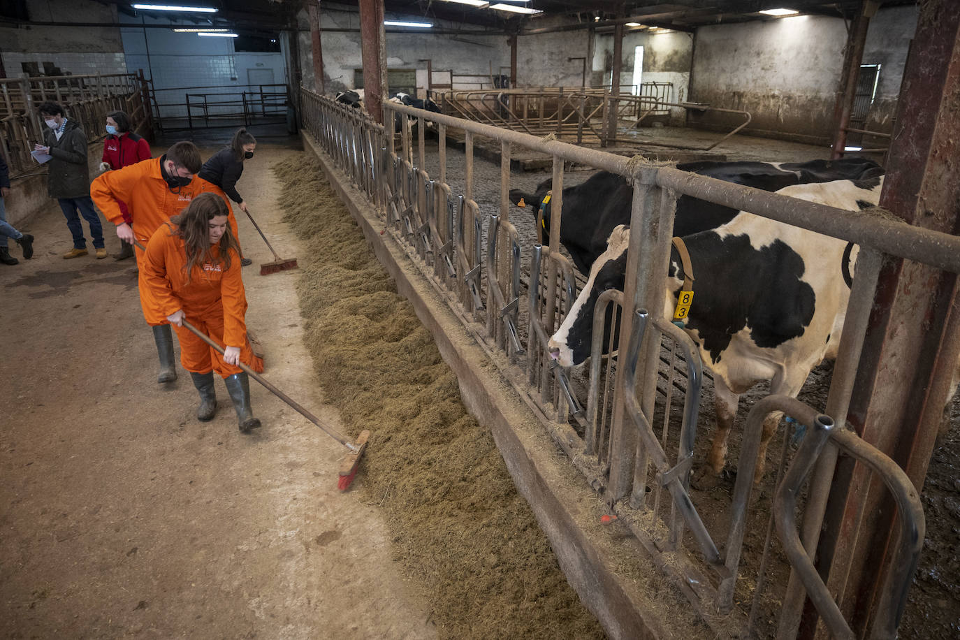 Fotos: El Centro Integrado de Formación Profesional de Medio Cudeyo cuenta con 80 alumnos en ciclos del sector agropecuario