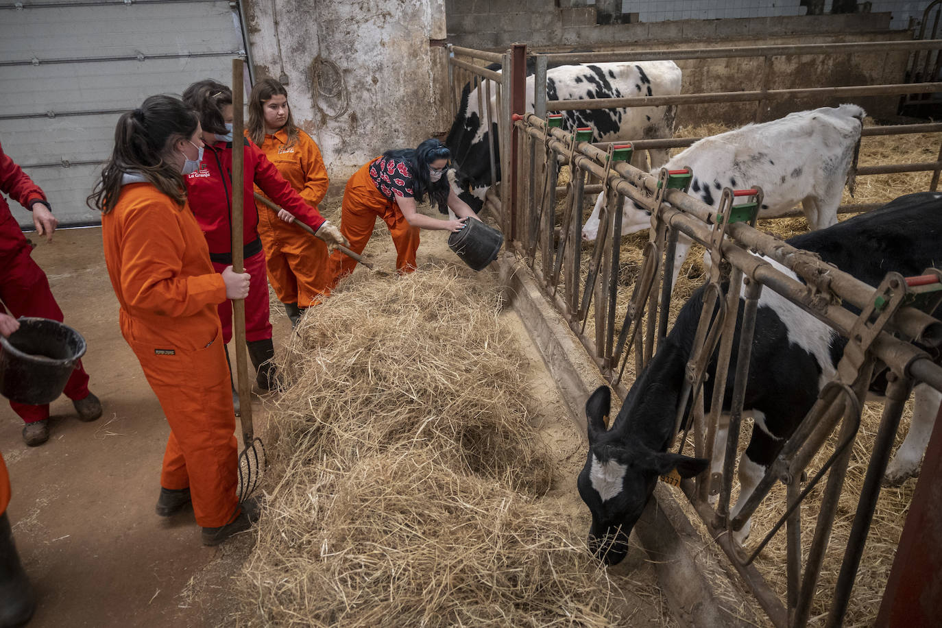 Fotos: El Centro Integrado de Formación Profesional de Medio Cudeyo cuenta con 80 alumnos en ciclos del sector agropecuario