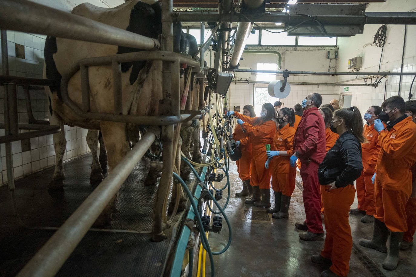 Fotos: El Centro Integrado de Formación Profesional de Medio Cudeyo cuenta con 80 alumnos en ciclos del sector agropecuario