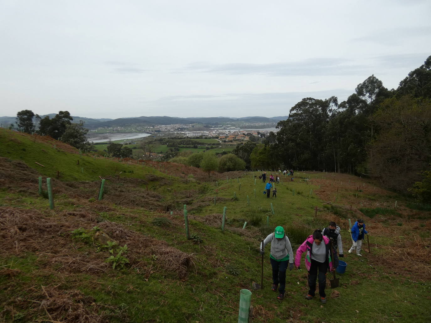 Fotos: Más de 80 voluntarios han participado en Colindres en la plantación de 200 árboles de distintas especies para conmemorar el Día del Árbol