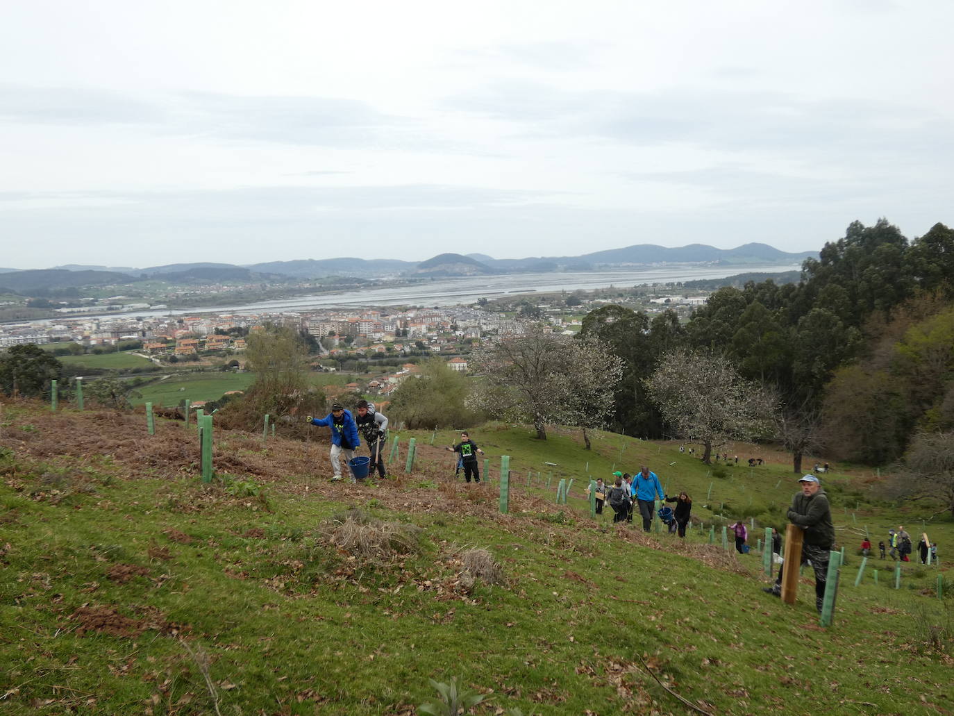 Fotos: Más de 80 voluntarios han participado en Colindres en la plantación de 200 árboles de distintas especies para conmemorar el Día del Árbol