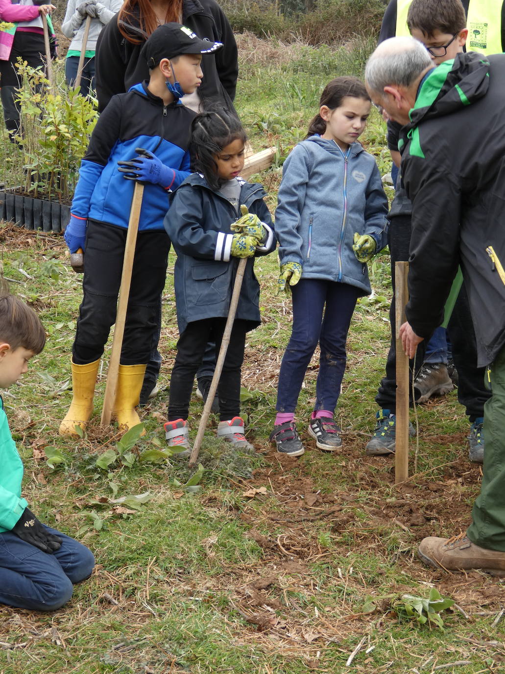 Fotos: Más de 80 voluntarios han participado en Colindres en la plantación de 200 árboles de distintas especies para conmemorar el Día del Árbol