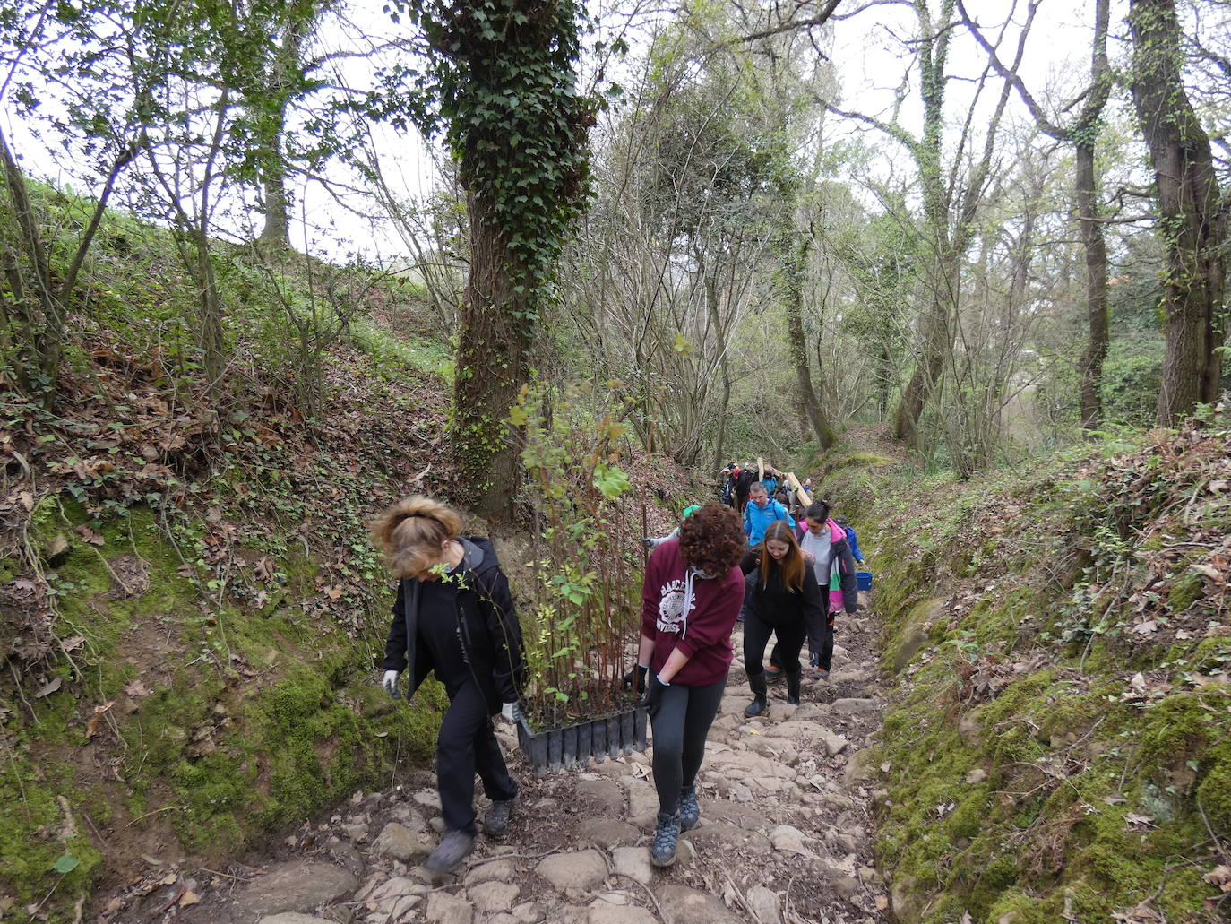 Fotos: Más de 80 voluntarios han participado en Colindres en la plantación de 200 árboles de distintas especies para conmemorar el Día del Árbol