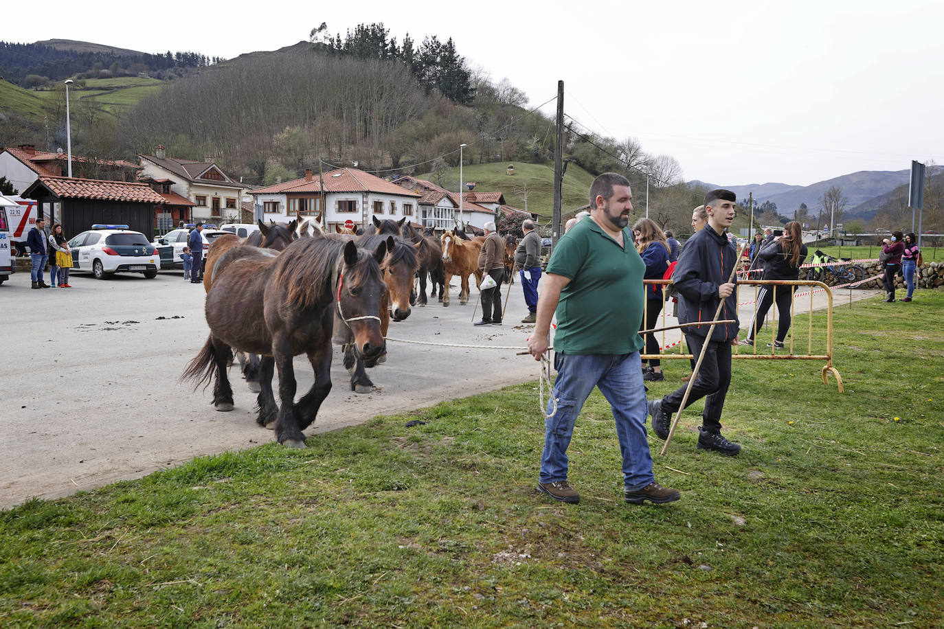 Fotos: El I Concurso Morfológico Regional de Ganado Equino de Raza Hispano-Bretona de Ruente se salda con éxito de afluencia y buen tiempo