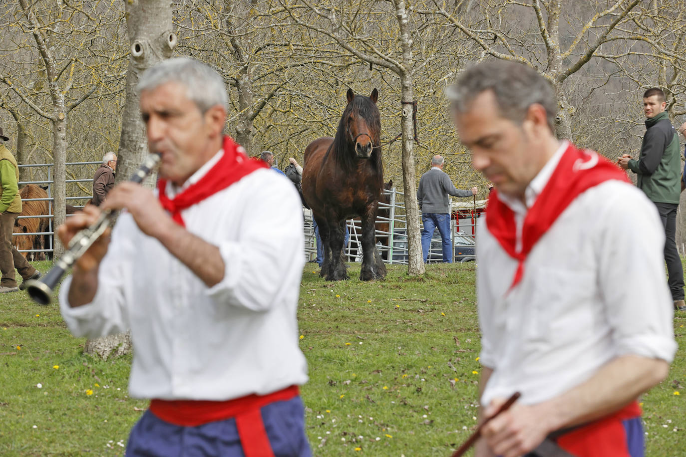 Fotos: El I Concurso Morfológico Regional de Ganado Equino de Raza Hispano-Bretona de Ruente se salda con éxito de afluencia y buen tiempo