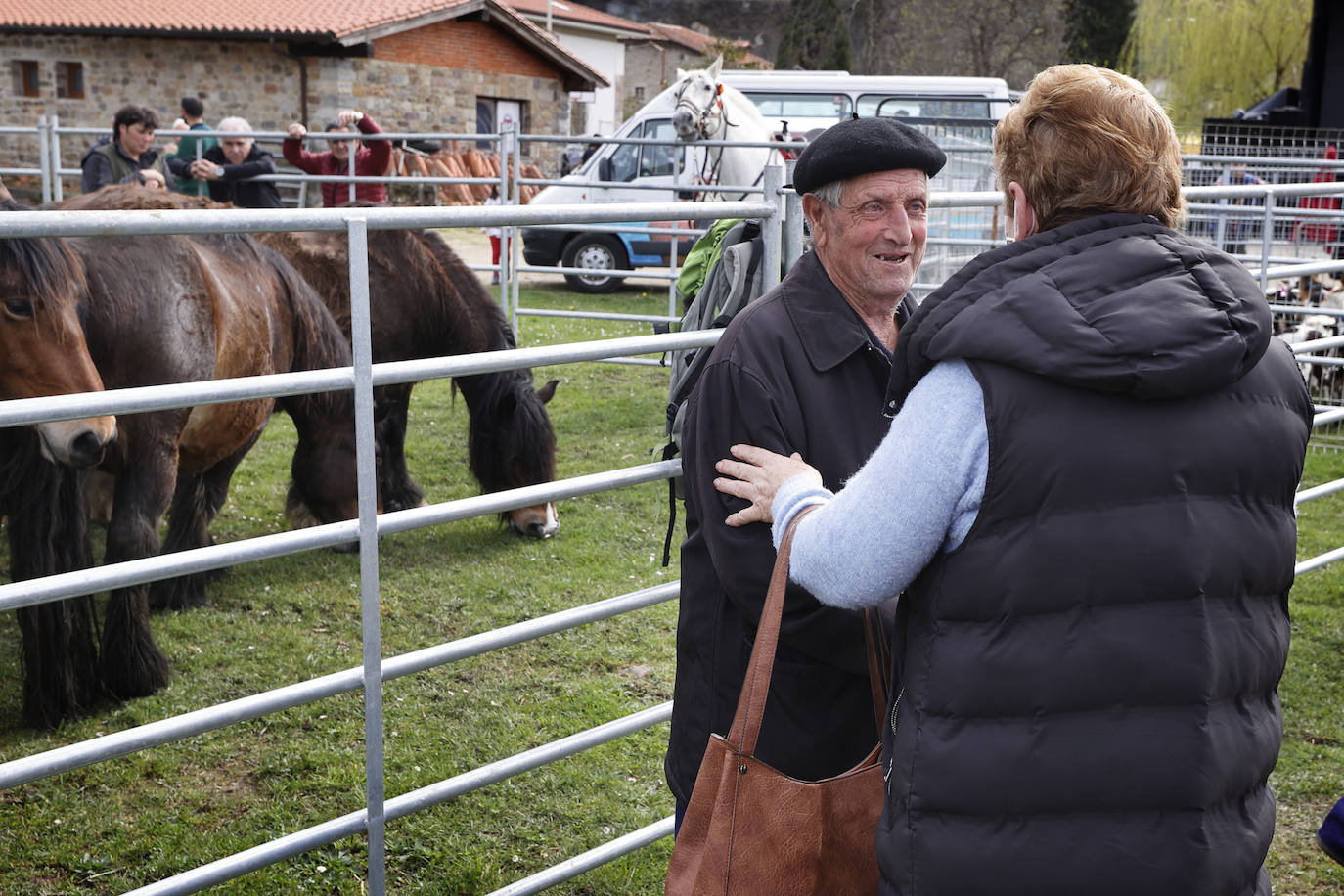 Fotos: El I Concurso Morfológico Regional de Ganado Equino de Raza Hispano-Bretona de Ruente se salda con éxito de afluencia y buen tiempo