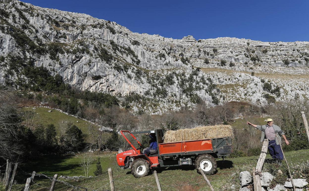 Un ganadero, junto a su tractor.