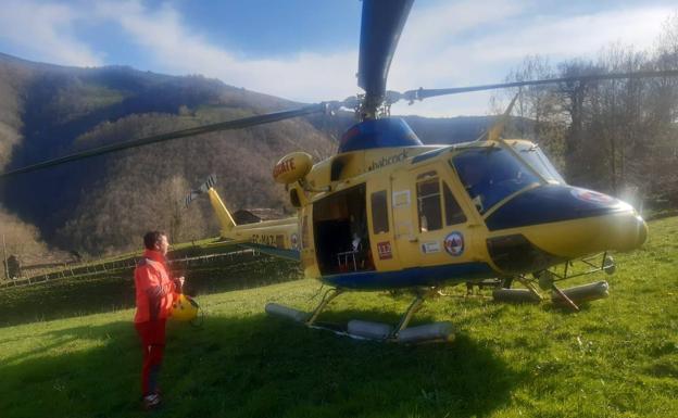 El Gobierno de Cantabria movilizó al helicóptero para llegar hasta el lugar.