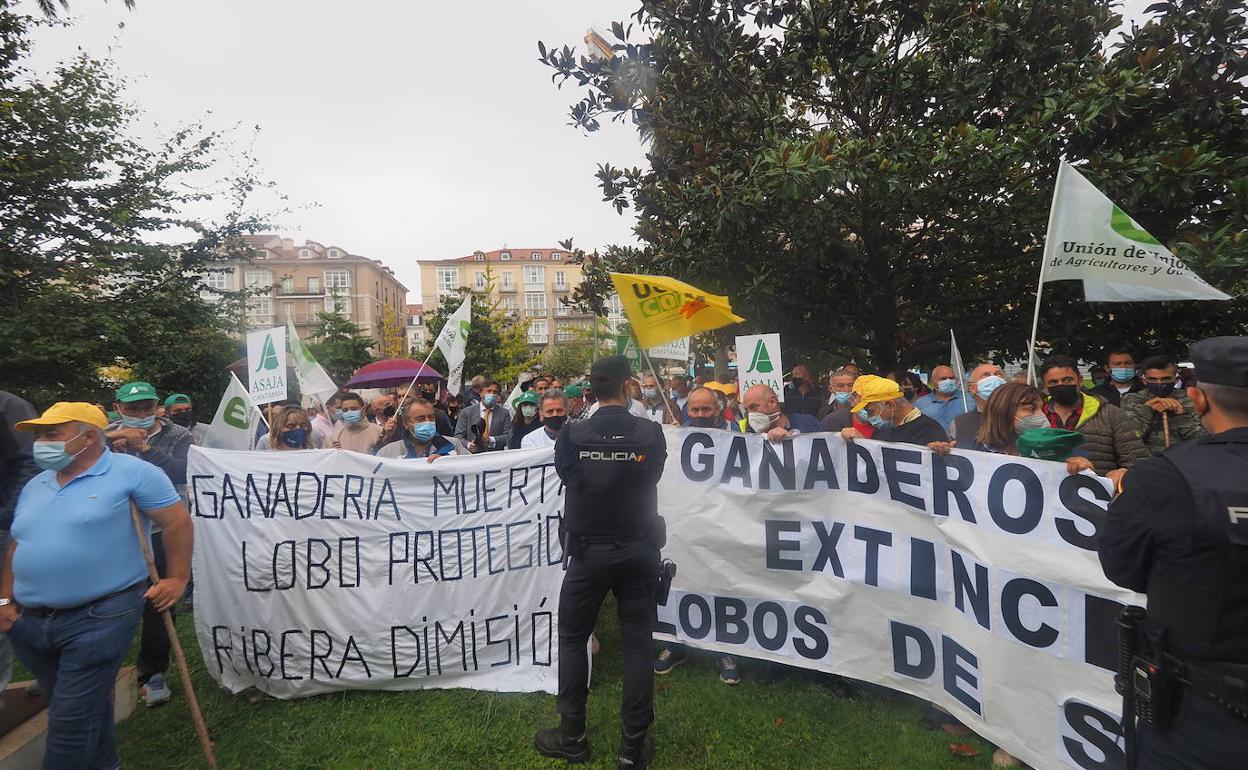 Cantabria iniciará «cuanto antes» los controles del lobo pese a las posibles demandas judiciales