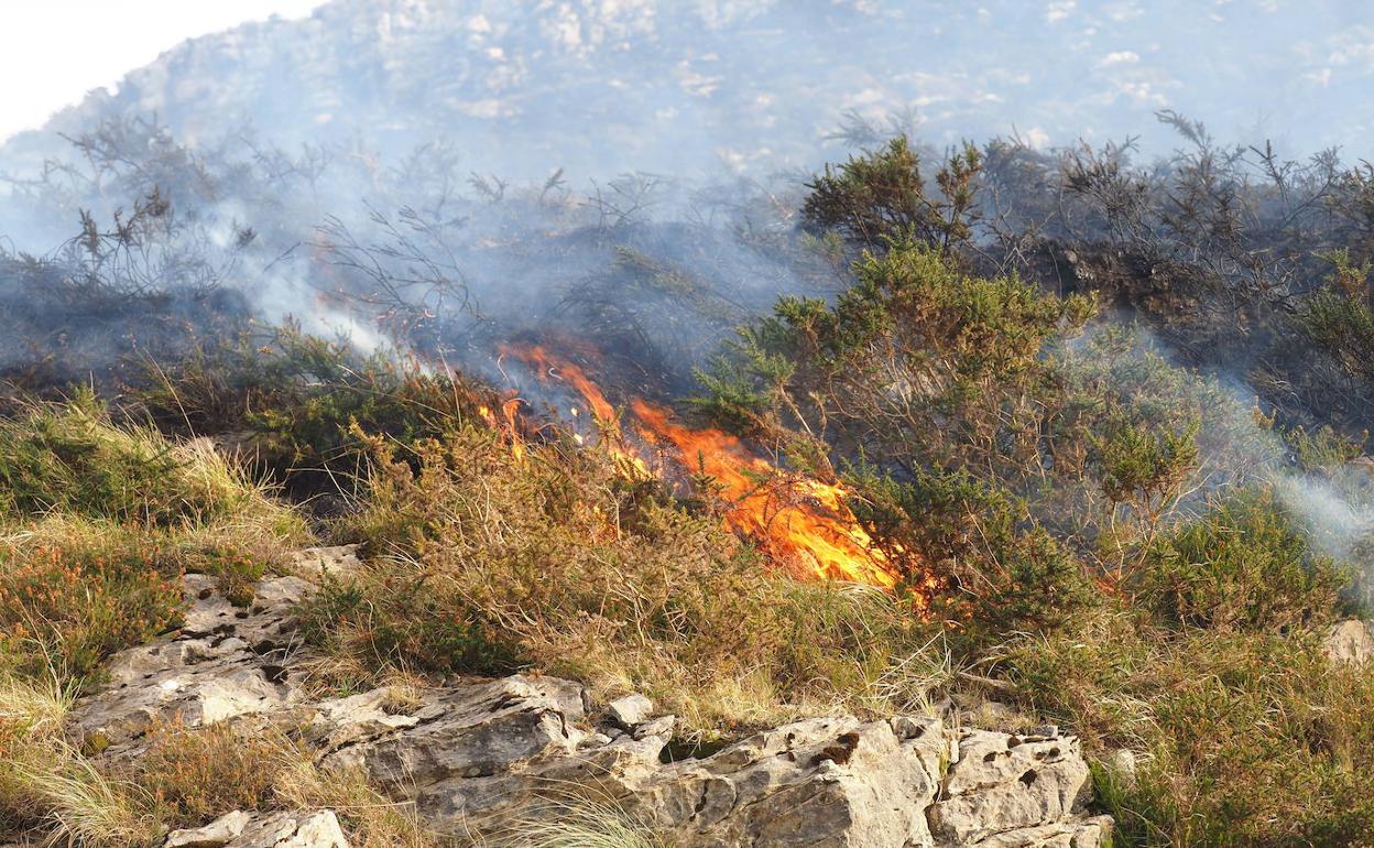 Los incendiarios siguen aprovechando el sur de marzo: este jueves se han provocado 14 fuegos