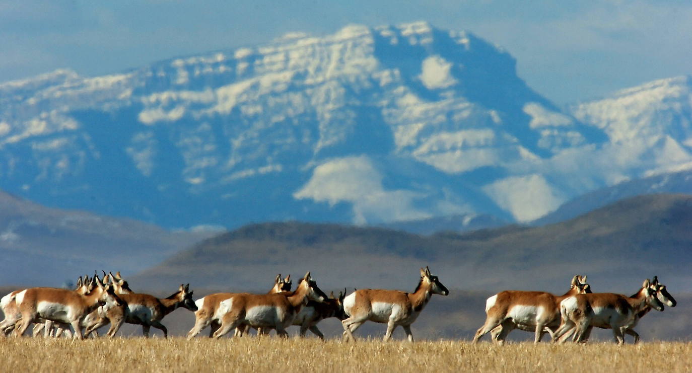 Montañas Rocosas (EEUU y Canadá)