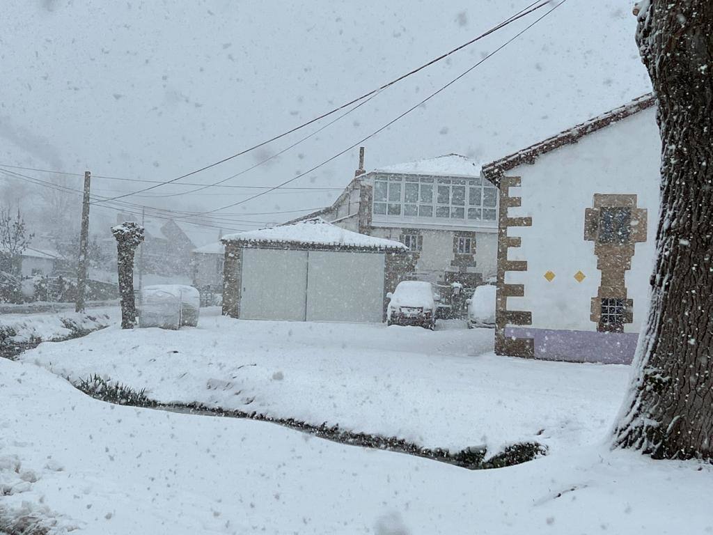 Copiosa nevada en Nestares (Campoo de Enmedio), sobre las 11.00 horas de este viernes.