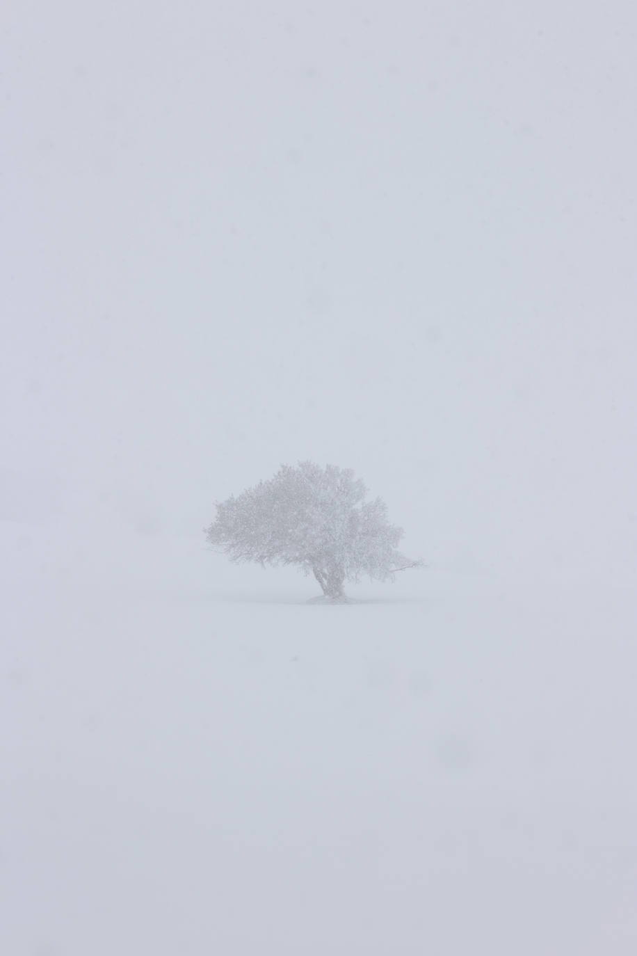 Fotos: Nieve en abril