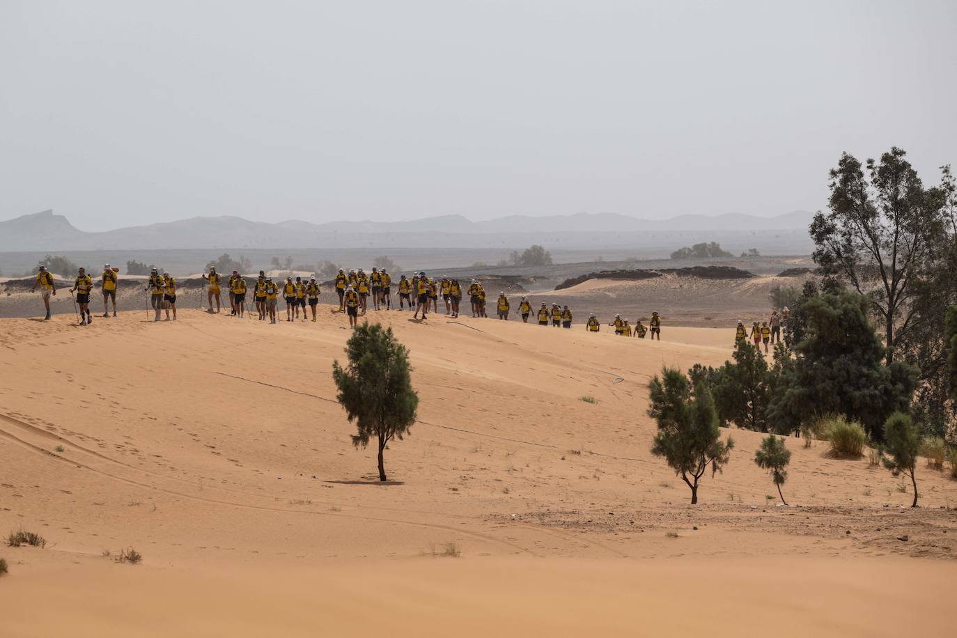 Esta prueba es considerada una de las carreras más duras del mundo. Desde el año 1986 el francés Patrick Bauer organiza esta cita en Marruecos con un recorrido de 250 kilómetros en siete días.