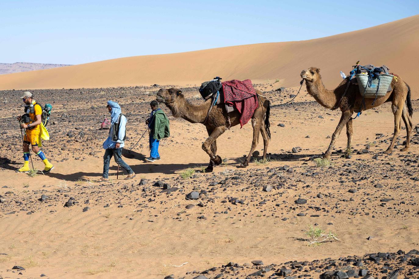 Esta prueba es considerada una de las carreras más duras del mundo. Desde el año 1986 el francés Patrick Bauer organiza esta cita en Marruecos con un recorrido de 250 kilómetros en siete días.