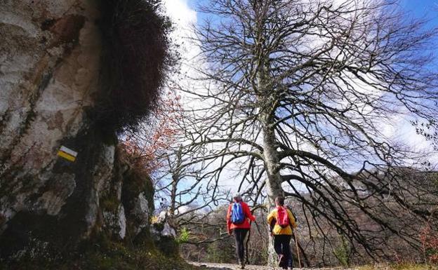 El sendero que discurre desde Amieva hasta la Jocica es cómodo y se desliza entre árboles, agua e imponentes moles de roca caliza