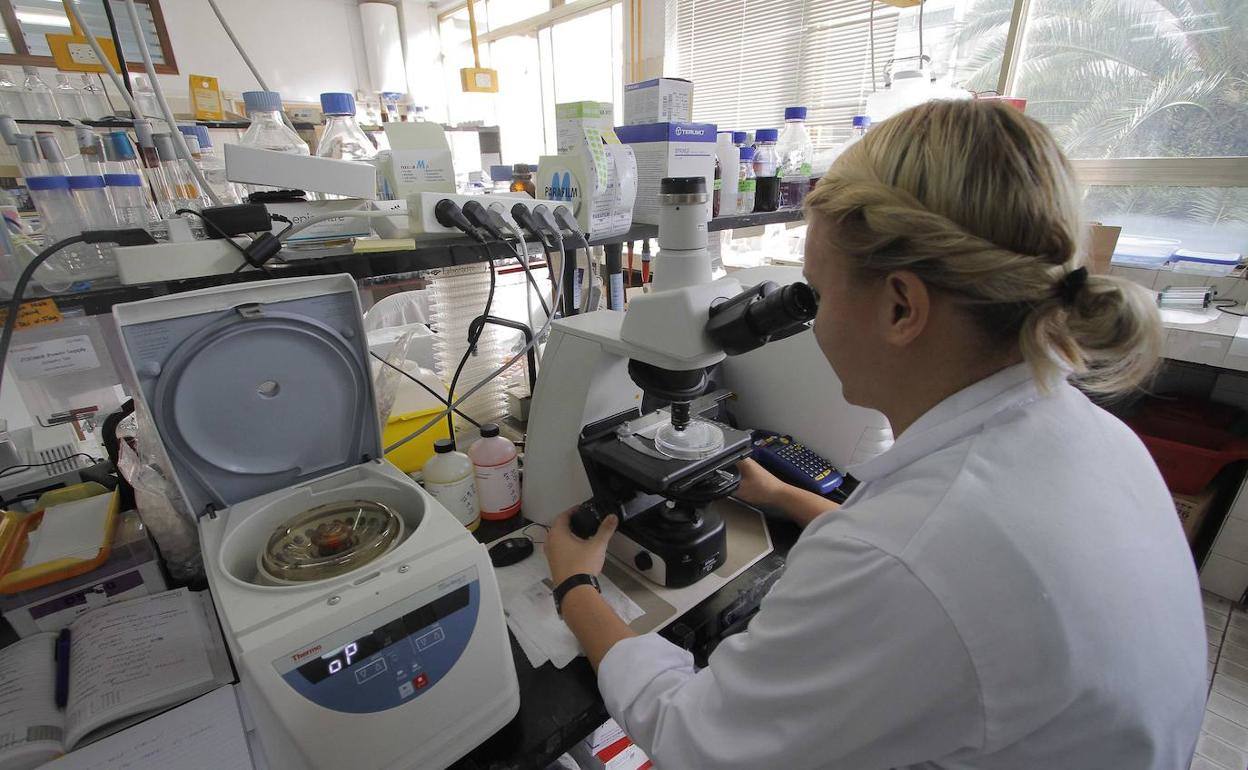 Imagen de archivo de una investigadora de la Universidad de Cantabria. 