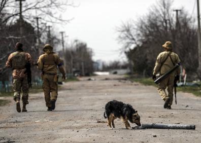 Imagen secundaria 1 - Un edificio gubernamental borbardeado en la ciudad de Mikolaiv, al norte de Jersón y Crimea. | Soldados ucraniamos patrullan la localidad. | Un ciudadano ucraniano de Mikolaiv en su casa bombardeada.