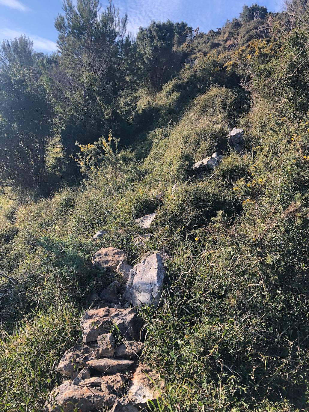 Trinchera de Peñacastillo. Trinchera de trazado sinuoso, formó parte del ‘Cinturón de Santander’. En bastante buen estado pero cubierta de vegetación. 