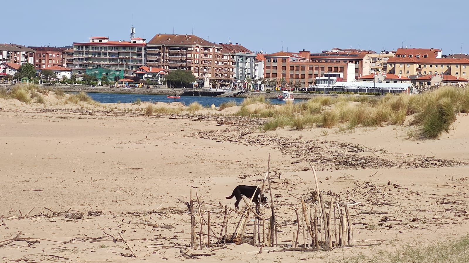 A las seis de la mañana de hoy, miércoles, trabajadores de la empresa FCC han dado comienzo a las tareas de limpieza manual y de mantenimiento de la playa Salvé. Se trata de una intervención incluida en las diez actuaciones a desarrollar durante los meses de octubre de 2021 a junio de 2022, tal y como se recoge en el pliego técnico de prestación de servicio actualmente vigente, dentro del apartado denominado 'fuera de temporada'. 