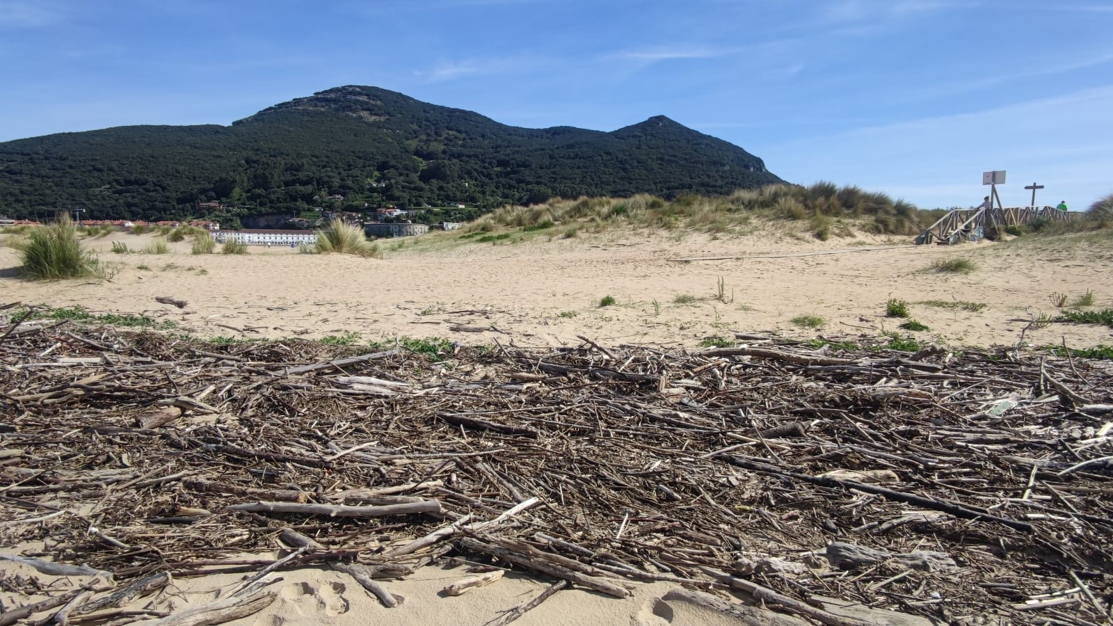 Los operarios centrarán sus esfuerzos en la retirada de los residuos, en su mayor parte de origen vegetal, que se han ido depositando en distintos emplazamientos del arenal laredano.