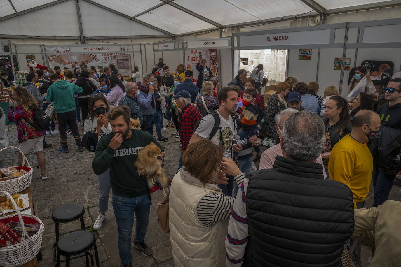 Cientos de personas se han acercado este jueves a Vega de Pas, en el primer día de la Gran Fiesta del Sobao Pasiego y la Quesada, que se celebra hasta el domingo. Este año recupera la programación con un mercado agroalimentario y artesanal, en la que están presentes fabricantes de sobao pasiego. Pasacalles de trajes típicos, aperitivos, romerías, oficios artesanos o concursos de bolo pasiego, son otros de los atractivos del programa de este año.