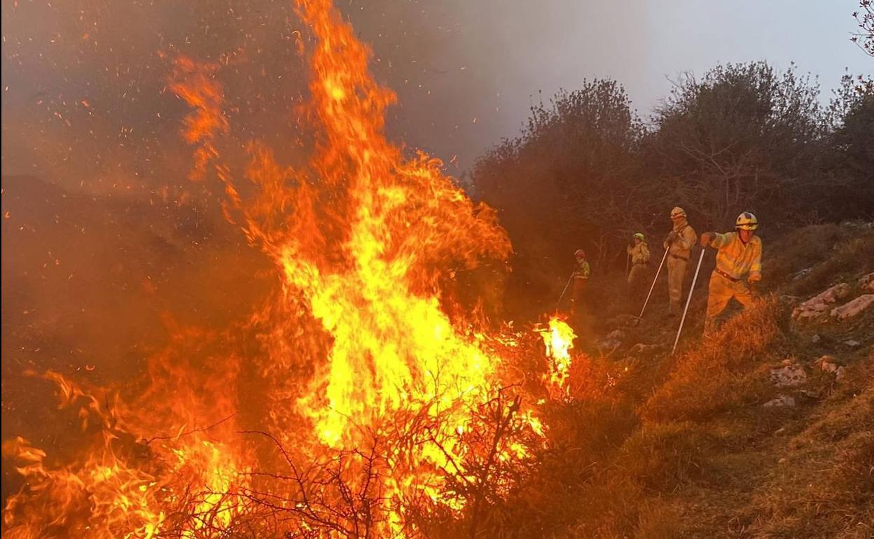 Los 15 incendios forestales de las últimas horas se han localizado en 12 municipios diferentes