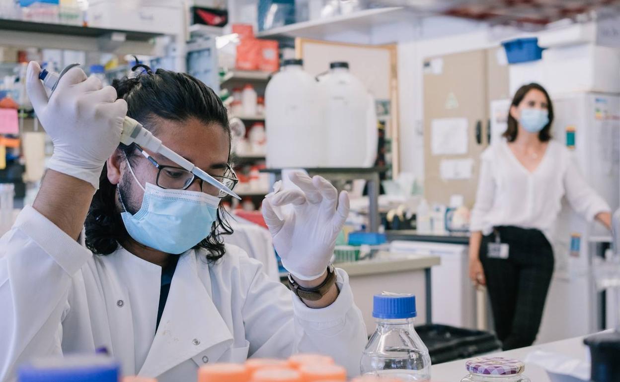 Científico de biología molecular en un centro de investigación portugués. 