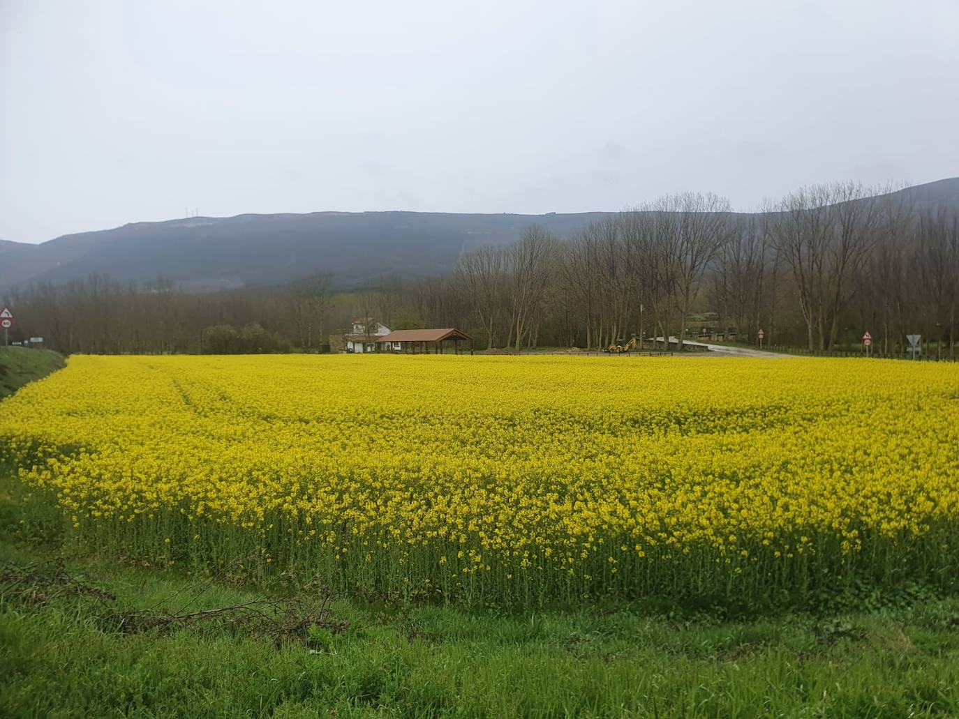 Fotos: Los campos de oro de Valderredible