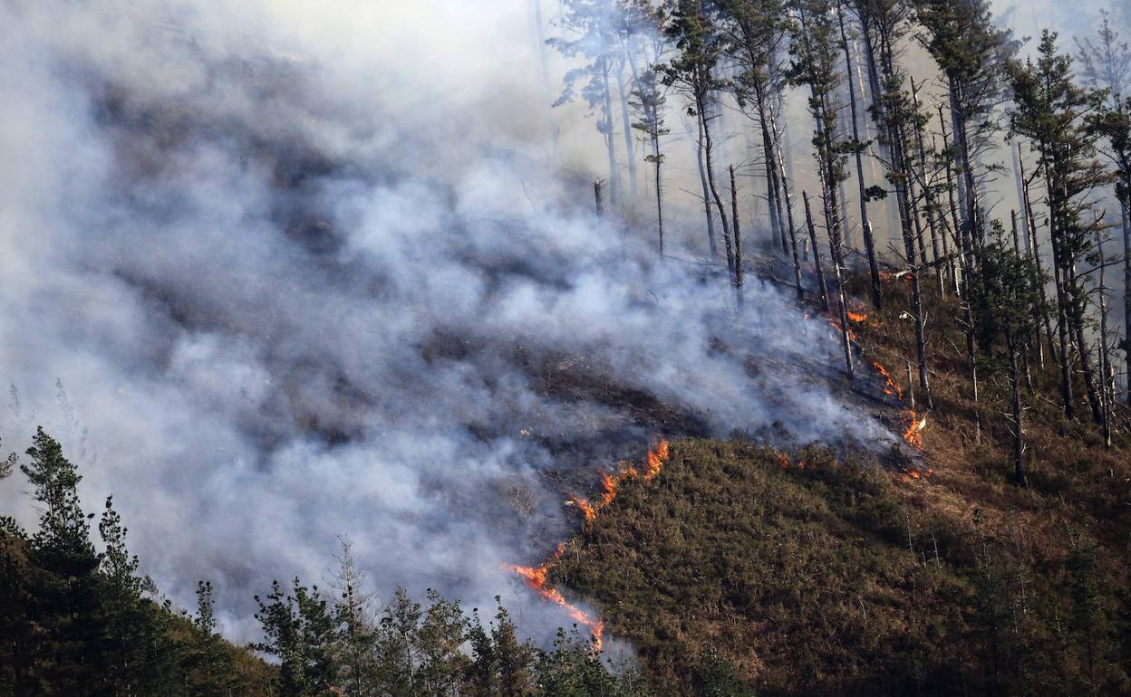 Incendio forestal en Abionzo, uno de los provocados este año. 