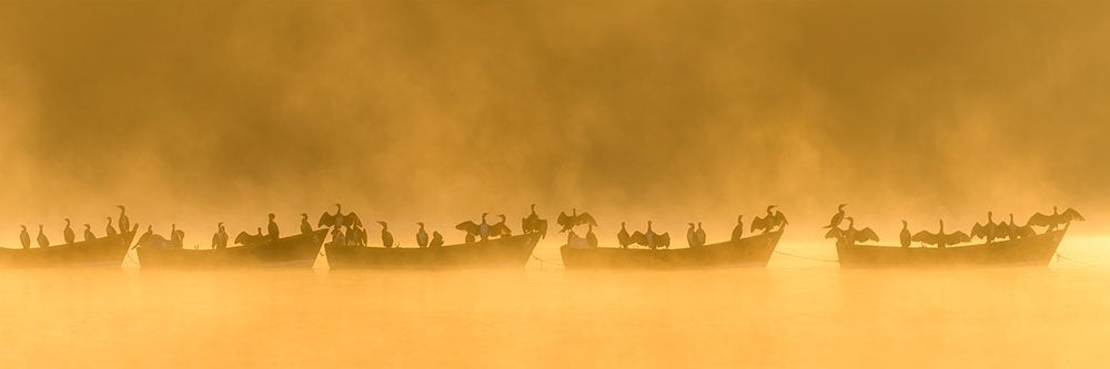 Te mostramos las imágenes ganadoras y finalistas del Nature Photographer of the Year, uno de los concursos de fotografía de naturaleza más importantes del planeta.