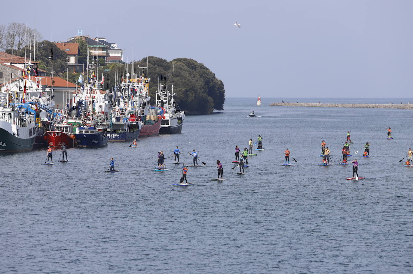 Fotos: La Travesía de Paddle Surf La Folía reúne a decenas de familias en San Vicente