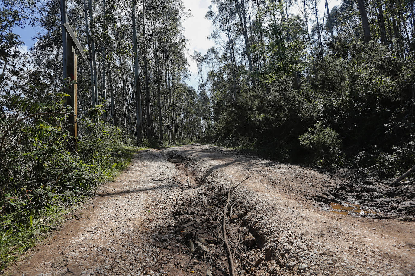 Fotos: Asi deja las rutas del Dobra la falta de mantenimiento