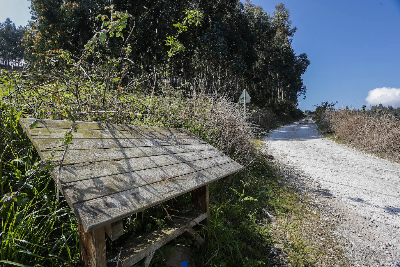 Fotos: Asi deja las rutas del Dobra la falta de mantenimiento