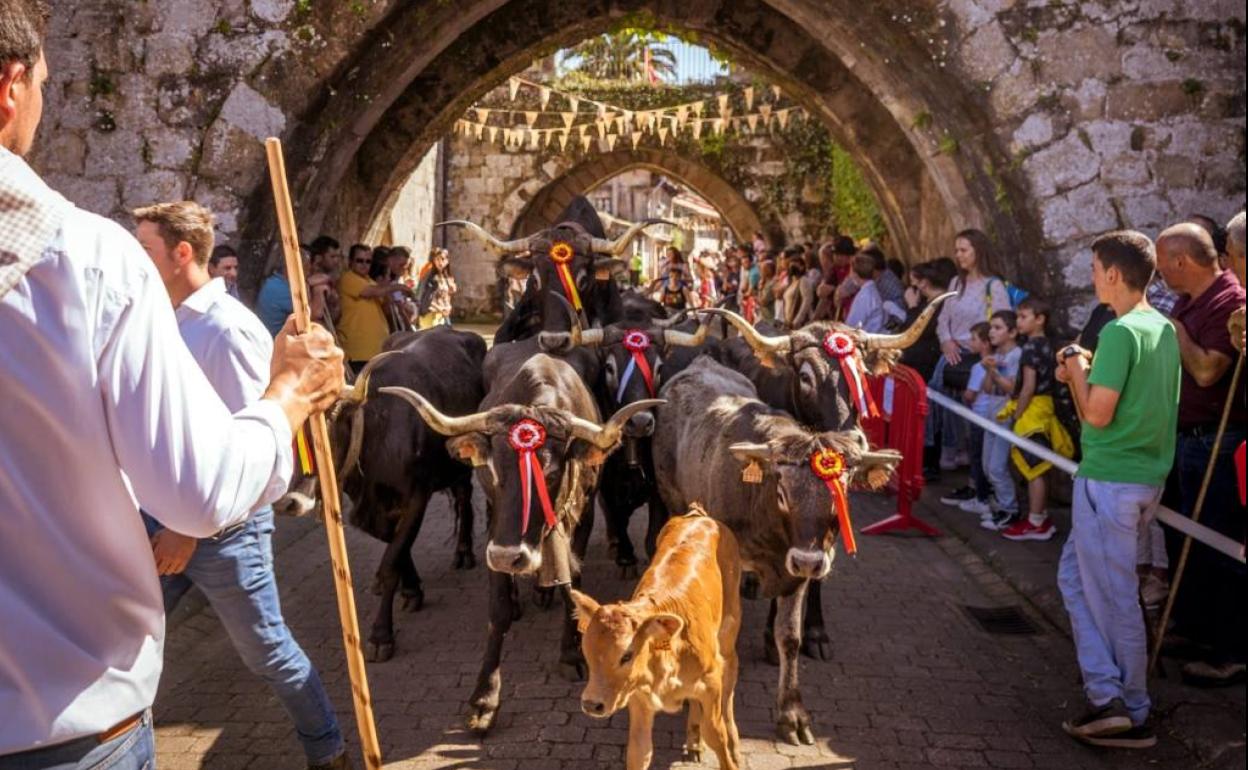 Pasada tudanca por el Camino Real en el primer 'Conceju Folk' de Cartes.